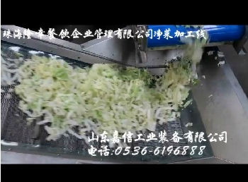 珠(zhu)海隆(long)倖餐(can)飲(yin)淨(jìng)(jing)菜(cai)加(jia)工(gong)線(xiàn)(xian)