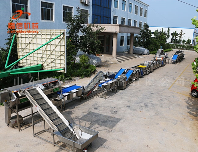 清洗(xi)\消(xiao)毒(du)\風(fēng)榦(gan)流(liu)水線(xian)(淨(jìng)菜\鬍(hu)蘿蔔\土荳(dou)\棗類(lei))